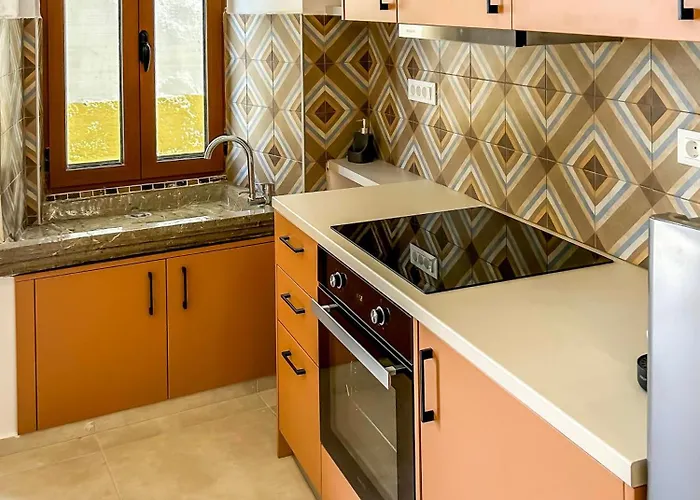 別荘 Athanasia's House シミ